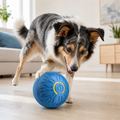 Interactive Self-Rolling Dog Ball